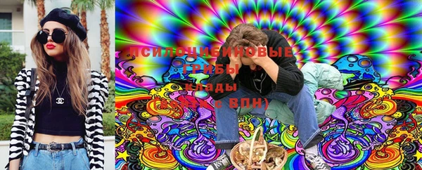 дживик Верея